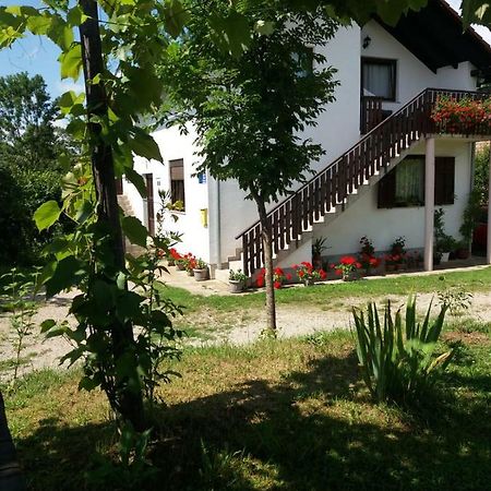 Apartment Manda Rakovica Kültér fotó