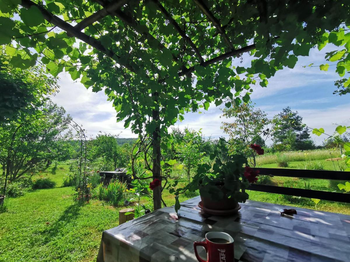 Apartment Manda Rakovica Kültér fotó