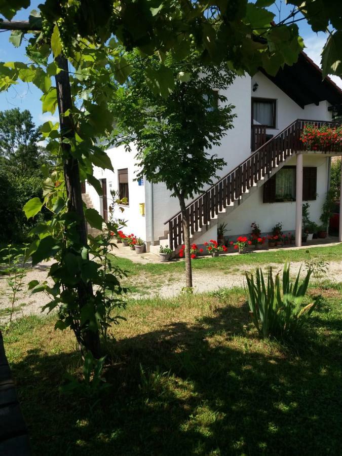 Apartment Manda Rakovica Kültér fotó