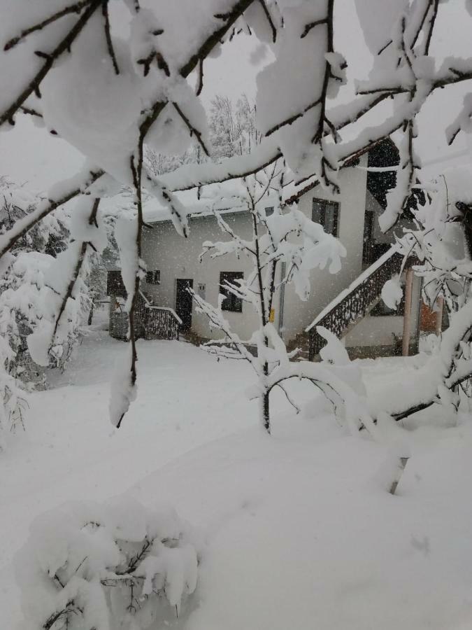 Apartment Manda Rakovica Kültér fotó